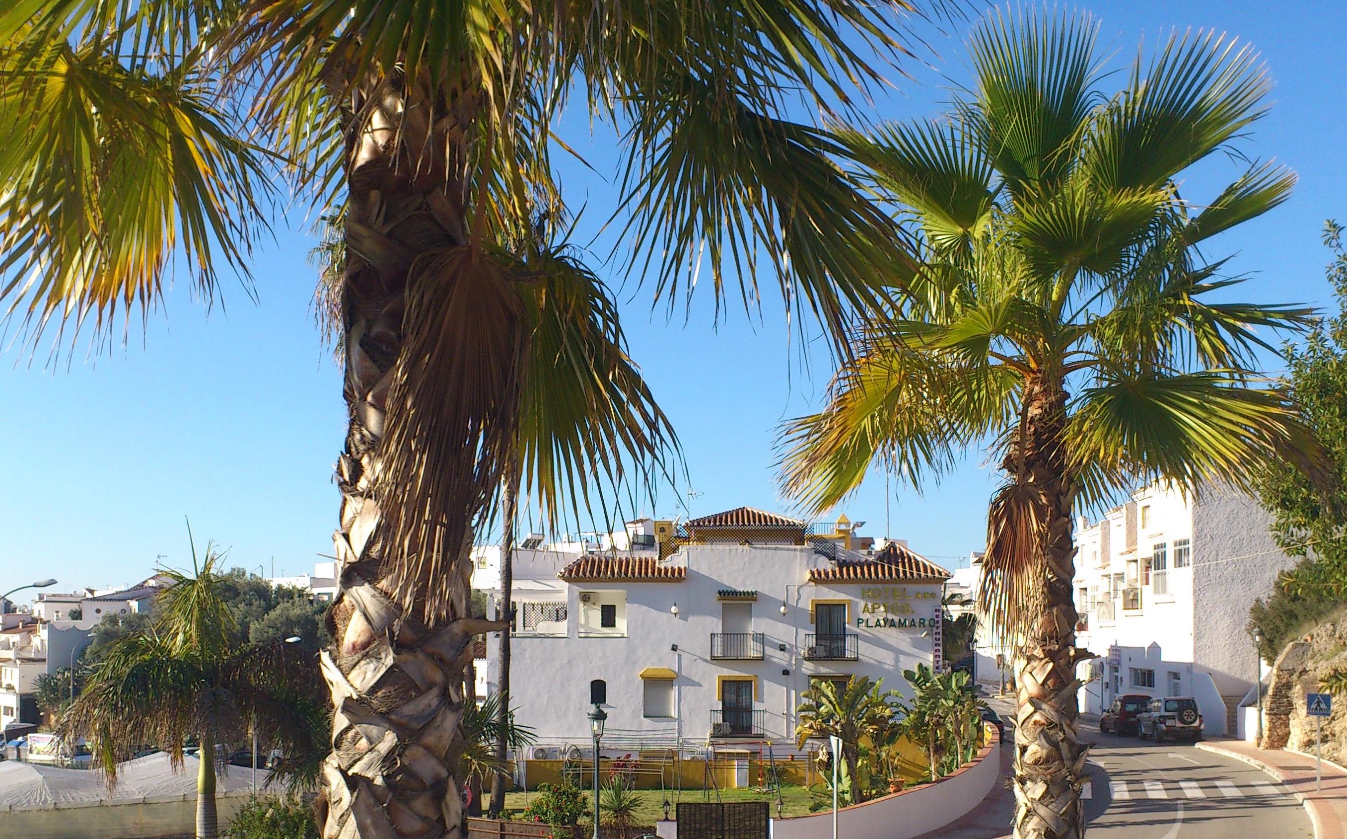 Hotel Playamaro Exterior foto